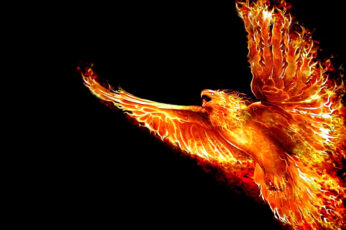 Wallpaper Fenix, Fire, Firebird, Flame, Flight
