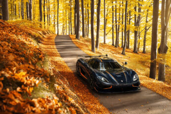 Wallpaper Black Luxury Car, Vehicle, Nature