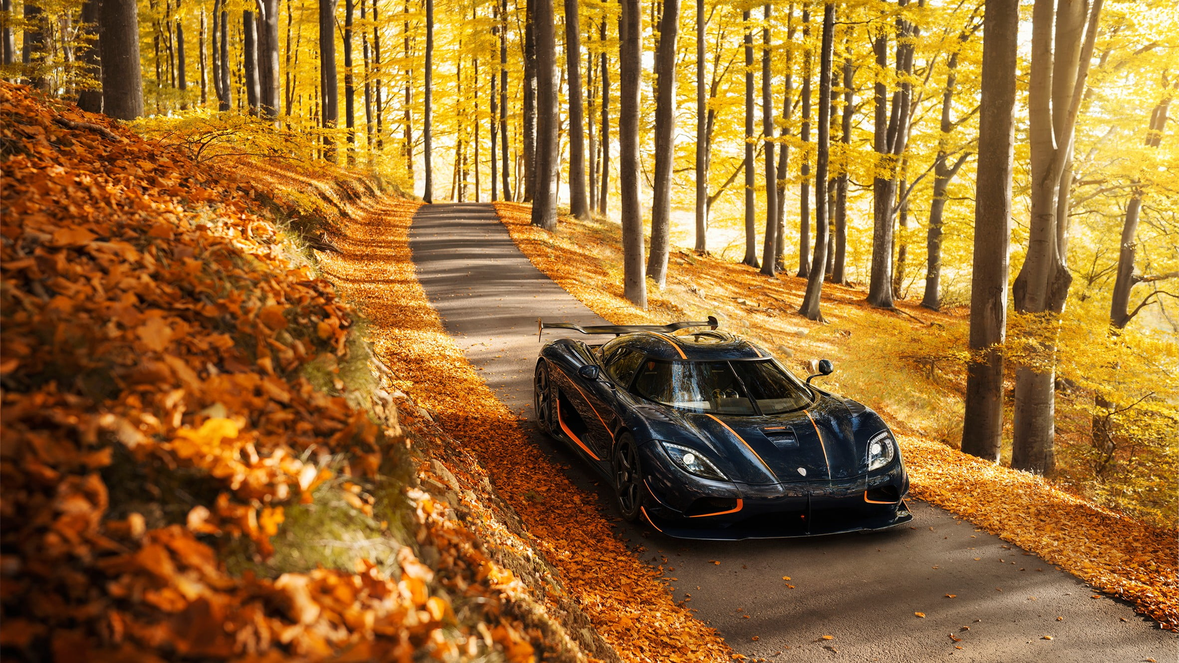 Wallpaper Black Luxury Car, Vehicle, Nature