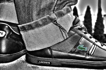 Wallpaper Lacoste, Black And Grey Lacoste Sneaker