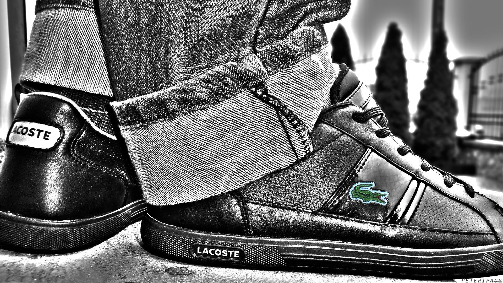 Wallpaper Lacoste, Black And Grey Lacoste Sneaker, Lacoste Wallpaper, Other