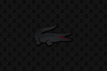 Wallpaper Logo, Monochrome, Black Background