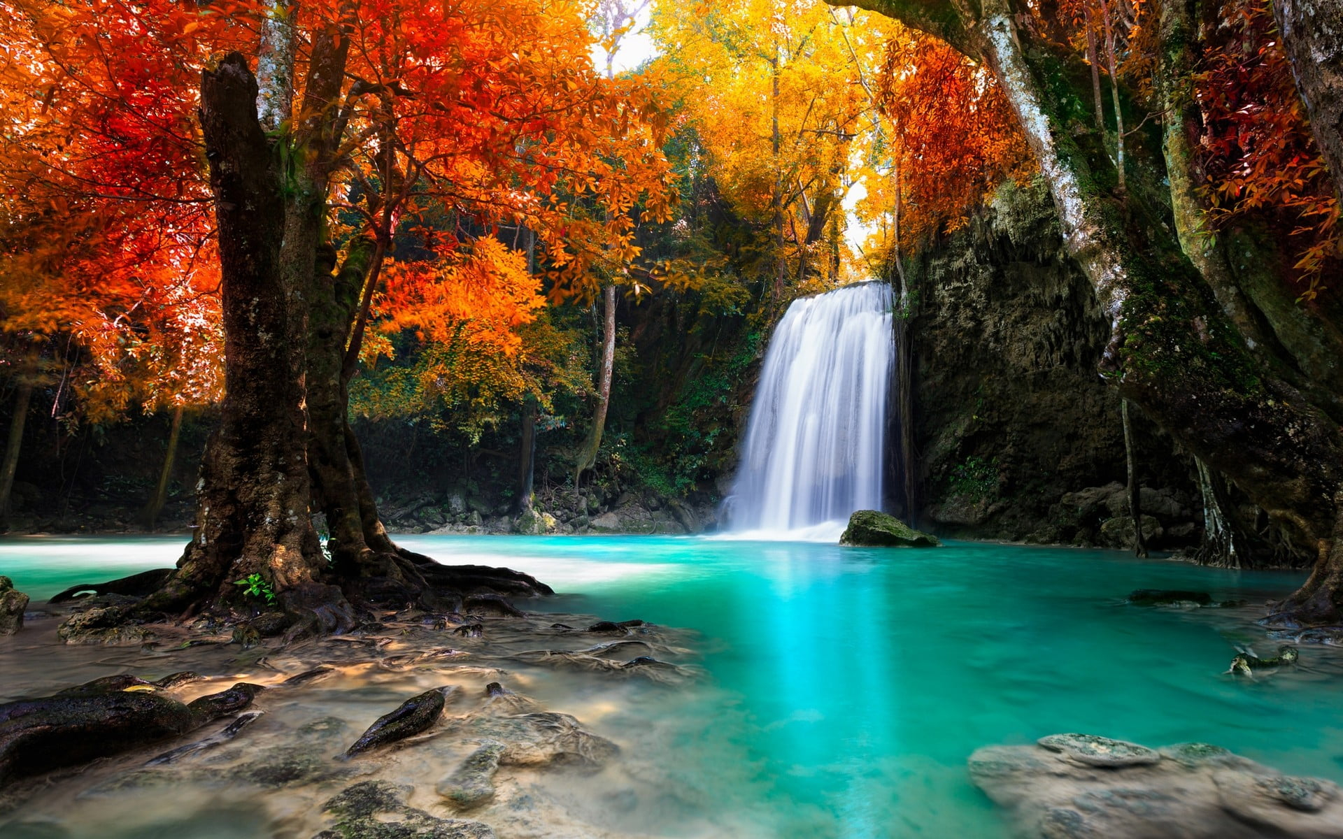 Wallpaper Waterfalls Surrounded By Trees, Autumn 2022 Wallpaper, Nature