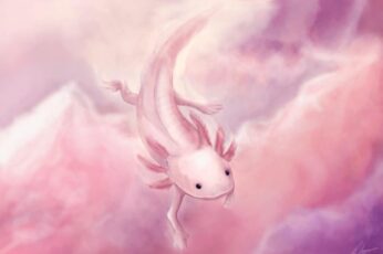 Axolotl Desktop Wallpaper Hd