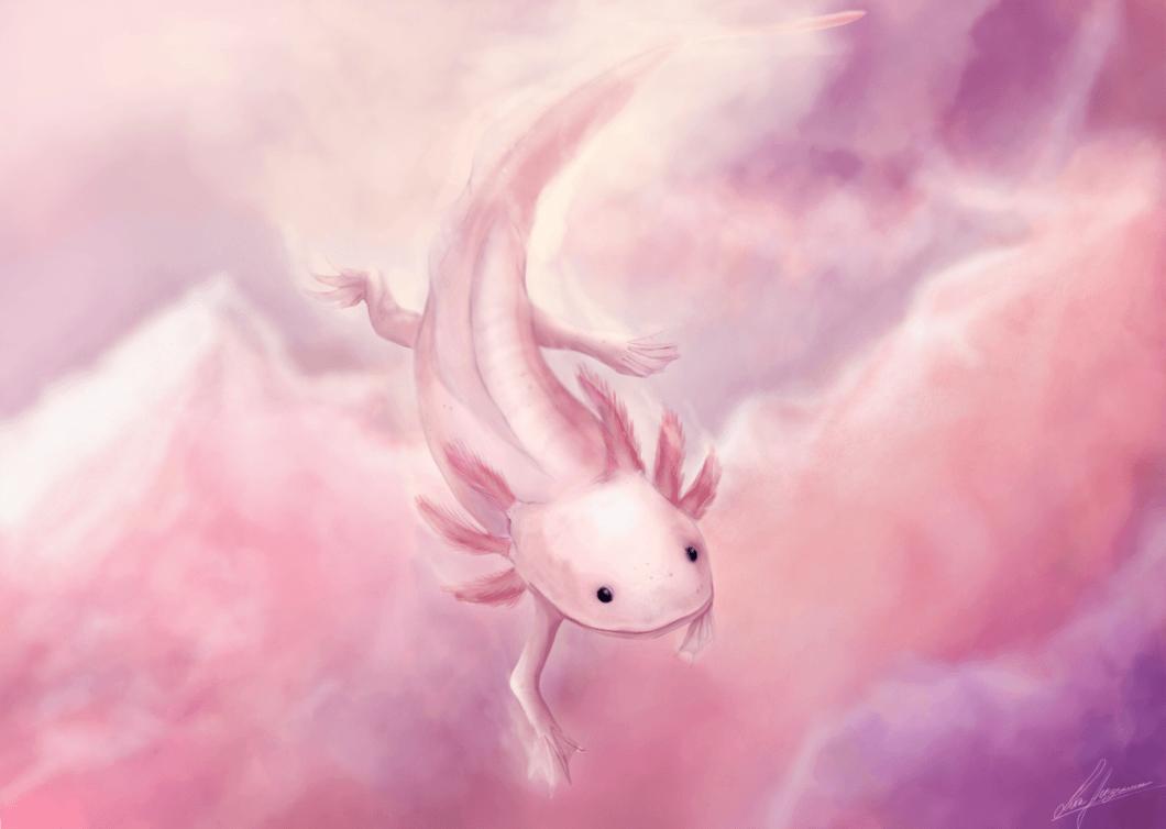 Download Digital Cartoon Axolotl In Pink Wallpaper  Wallpaperscom
