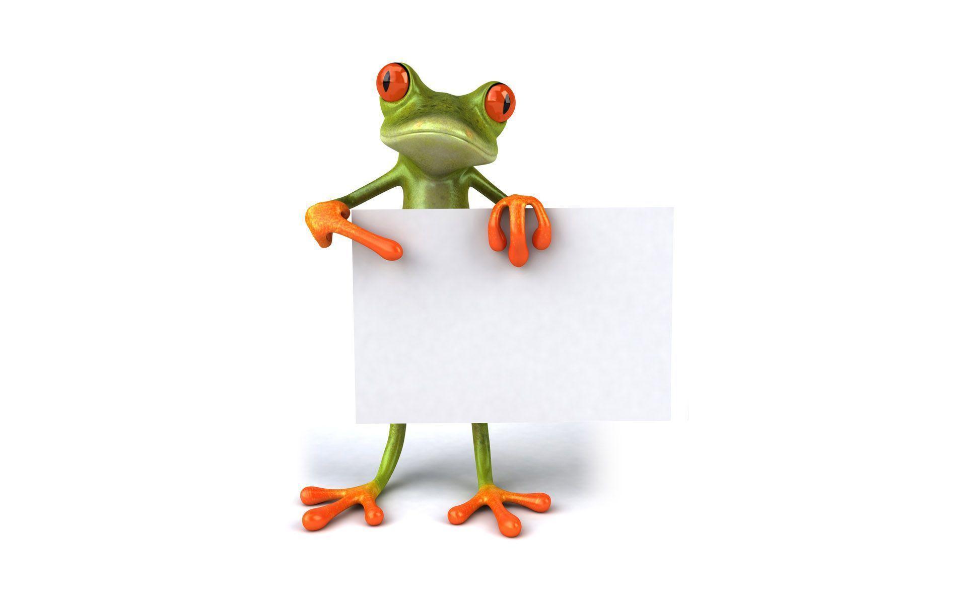 Frog High Resolution Desktop Wallpaper