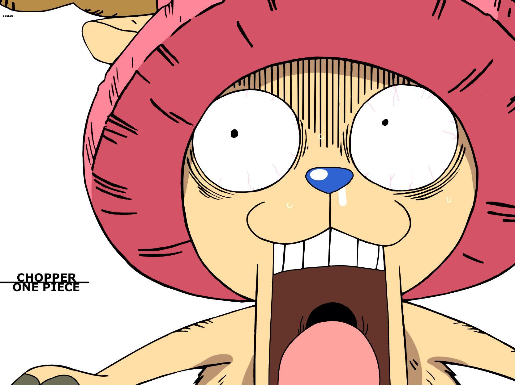 Chopper Desktop Wallpaper, One Piece, Anime