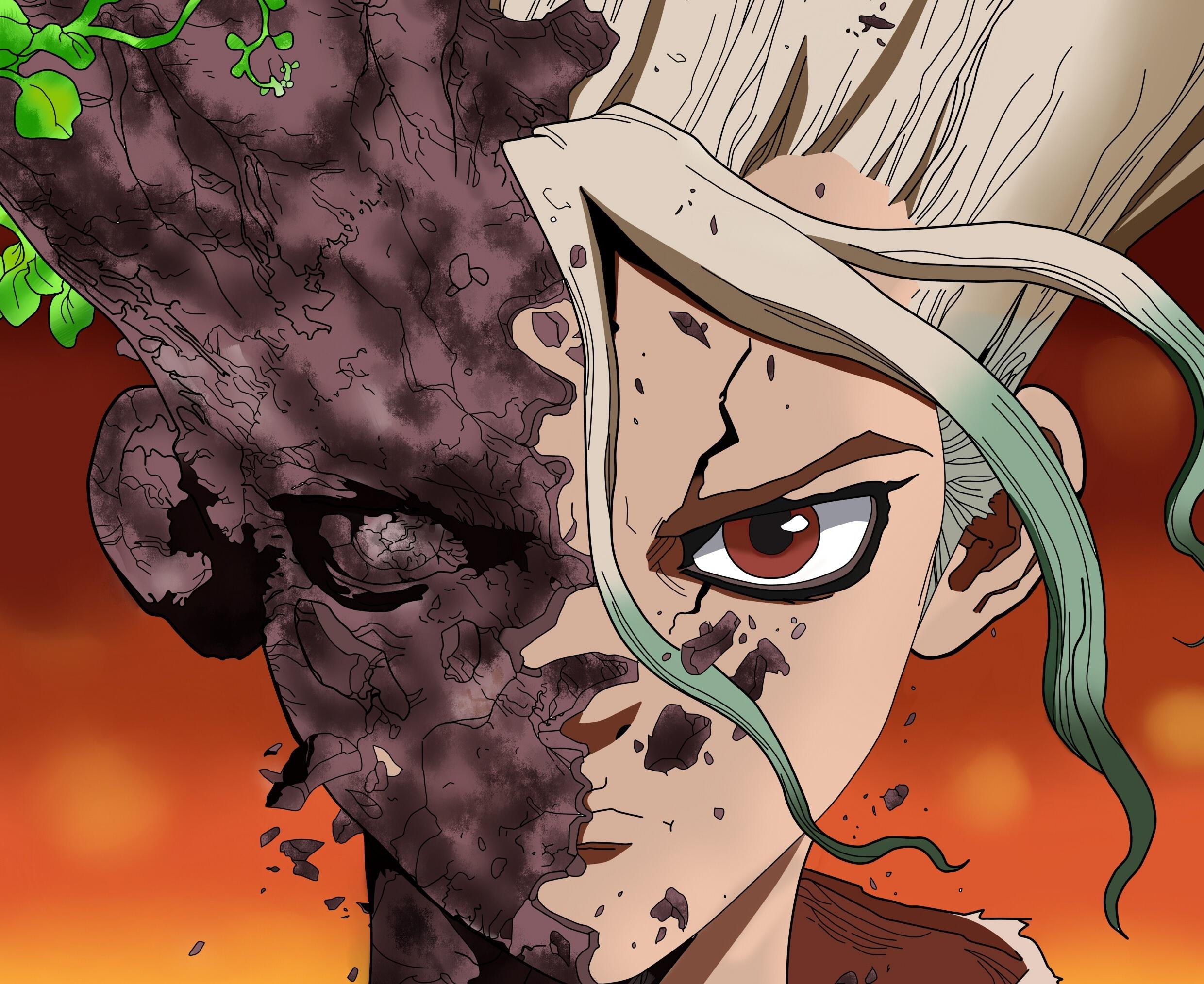 Dr Stone Hd Wallpaper 4k For Pc