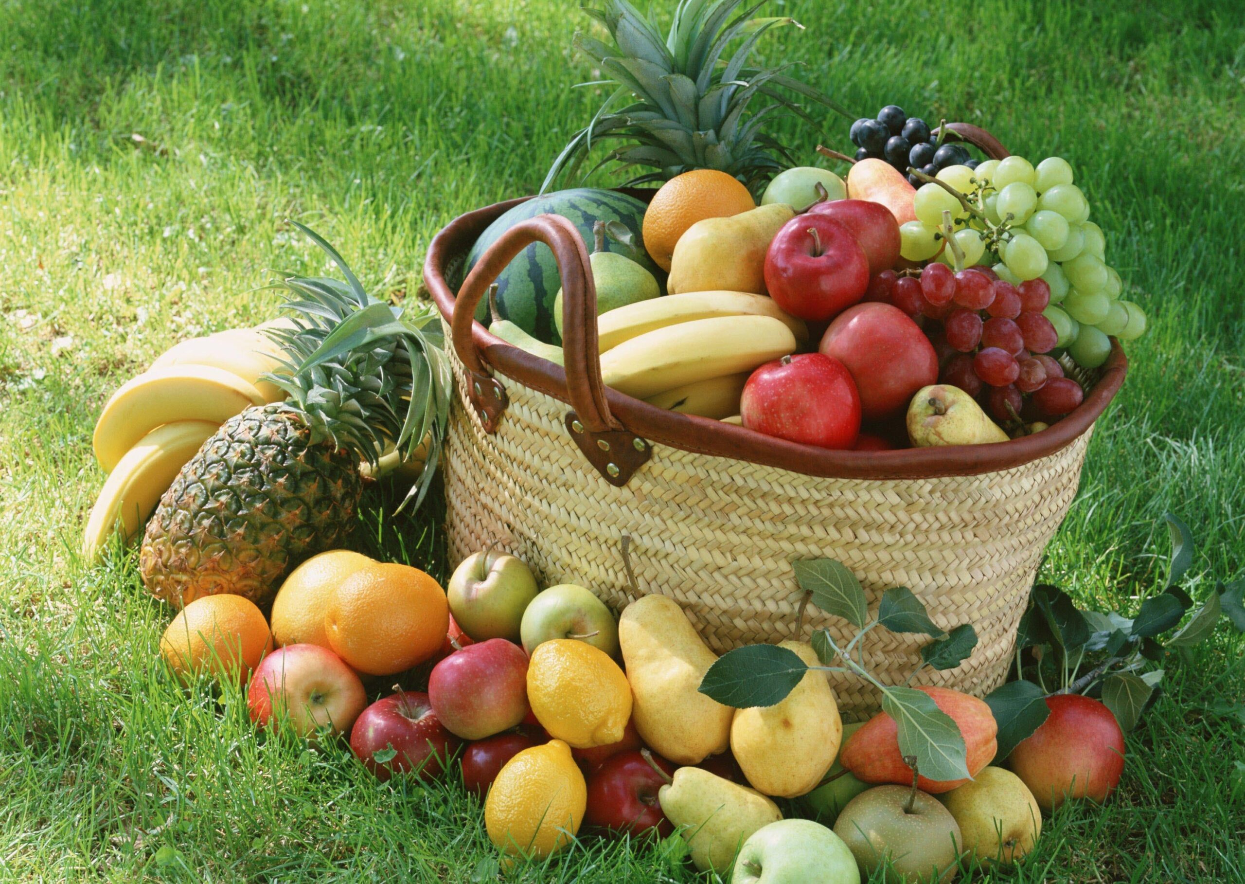 Fruits Basket Desktop Wallpaper Full Screen
