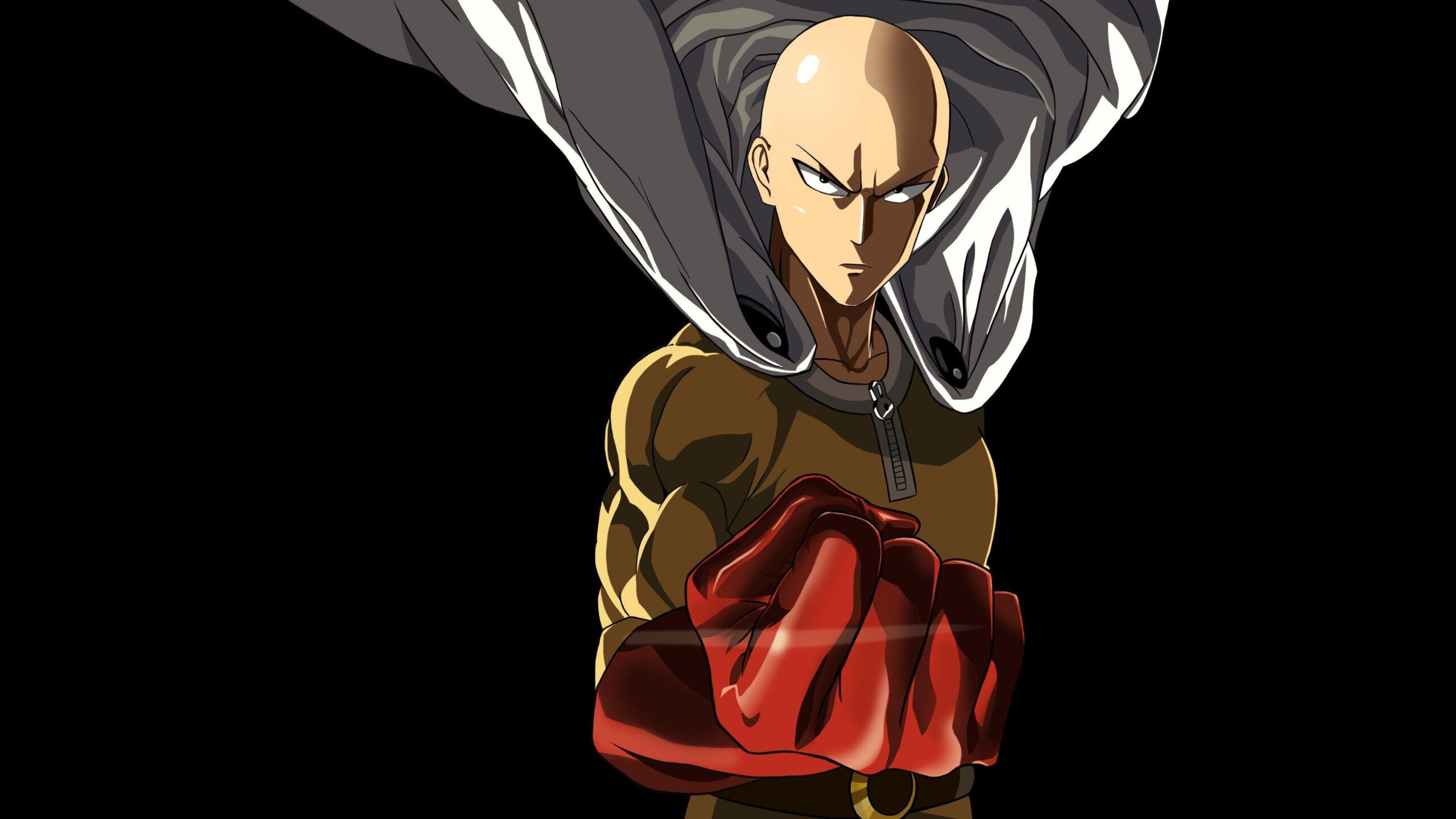 One Punch Man Wallpaper Download, One-Punch Man, Anime