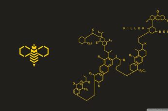 Bee Desktop Wallpaper
