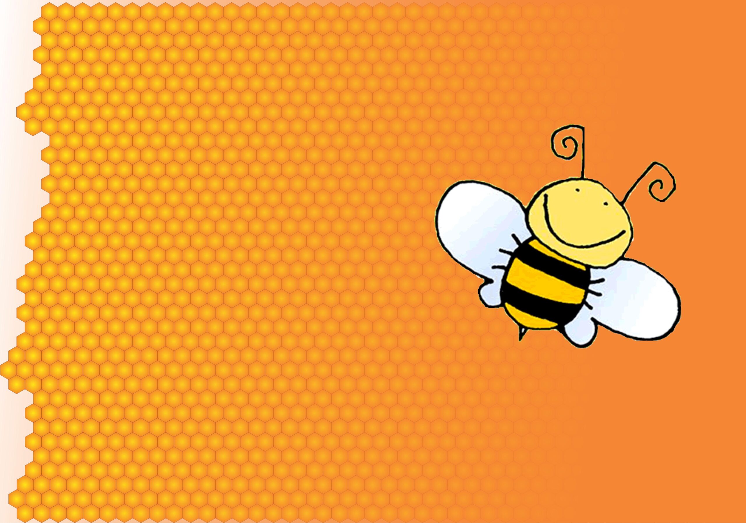 Bee Wallpaper Photo