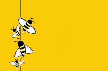 Bee Wallpapers Hd For Pc
