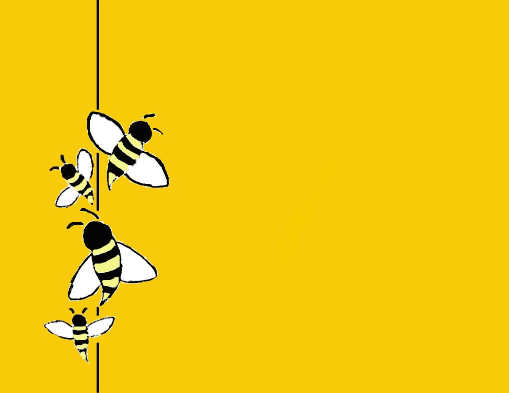 Bee Wallpapers Hd For Pc, Bee, Animal