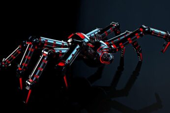 Black Widow Spiders 4K Ultra Hd Wallpapers