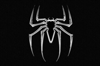 Black Widow Spiders Hd Wallpaper 4k For Pc