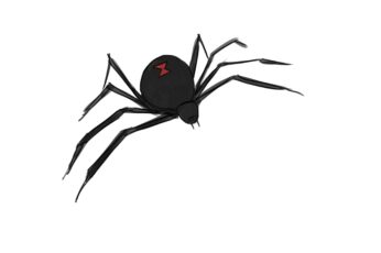 Black Widow Spiders Hd Wallpapers For Pc