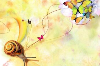 Butterflies Desktop Wallpaper