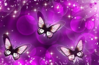 Butterflies Desktop Wallpapers