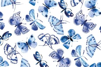 Butterflies Download Best Hd Wallpaper