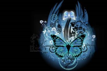 Butterflies High Resolution Desktop Wallpaper