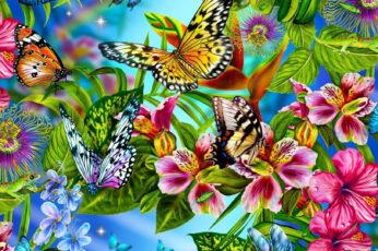 Butterflies New Wallpaper