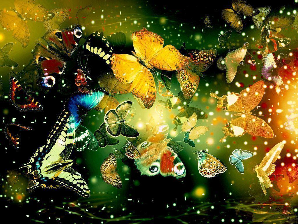 Butterflies Wallpapers For Free, Butterflies, Animal