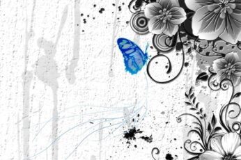 Butterfly Desktop Wallpaper Hd