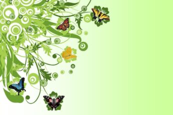 Butterfly Hd Wallpapers Free Download