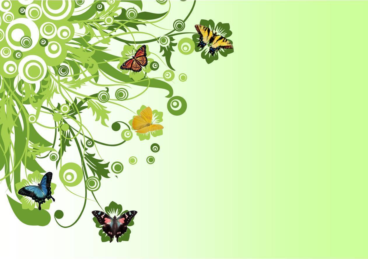 Butterfly Hd Wallpapers Free Download, Butterfly, Animal