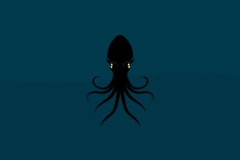 Cephalopod Desktop Wallpaper