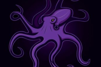 Cephalopod New Wallpaper