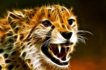 Cheetah Desktop Wallpaper 4k Ultra Hd