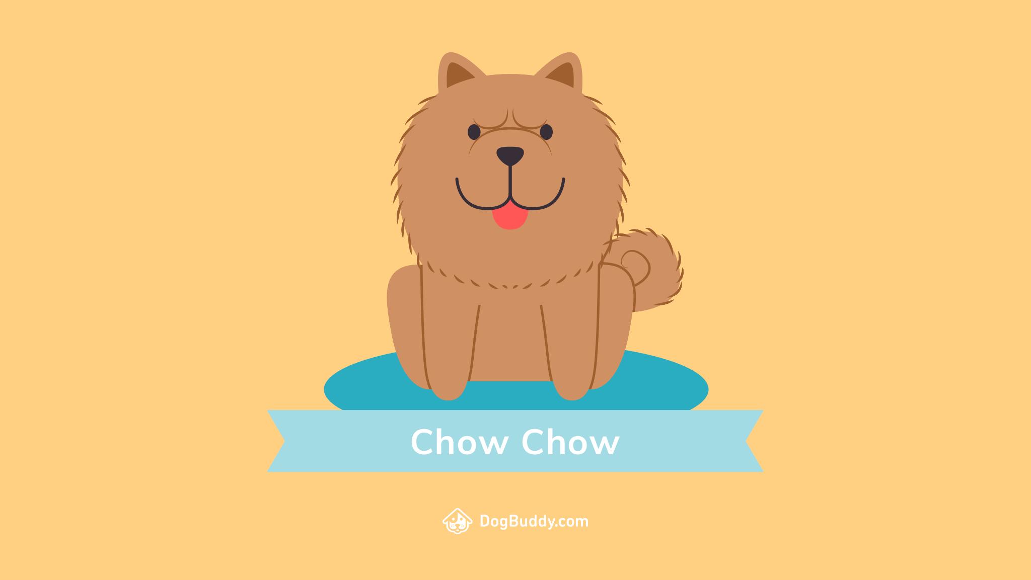 Chow Chow Wallpapers Hd For Pc, Chow Chow, Animal