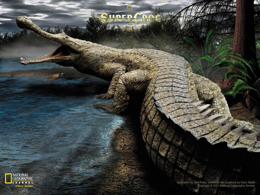 Crocodile Desktop Wallpaper 4k Ultra Hd, Crocodile, Animal