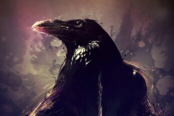 Crows Wallpaper Download