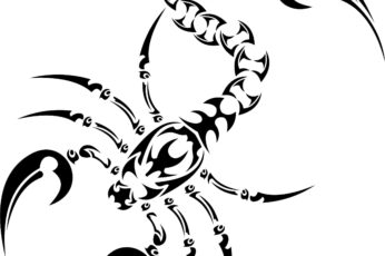 Scorpion 1080p Wallpaper