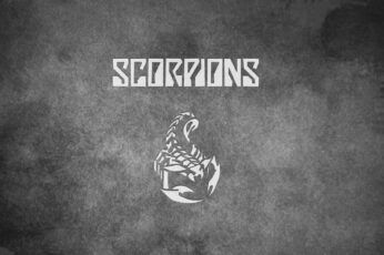 Scorpion Arachnids Wallpaper For Pc