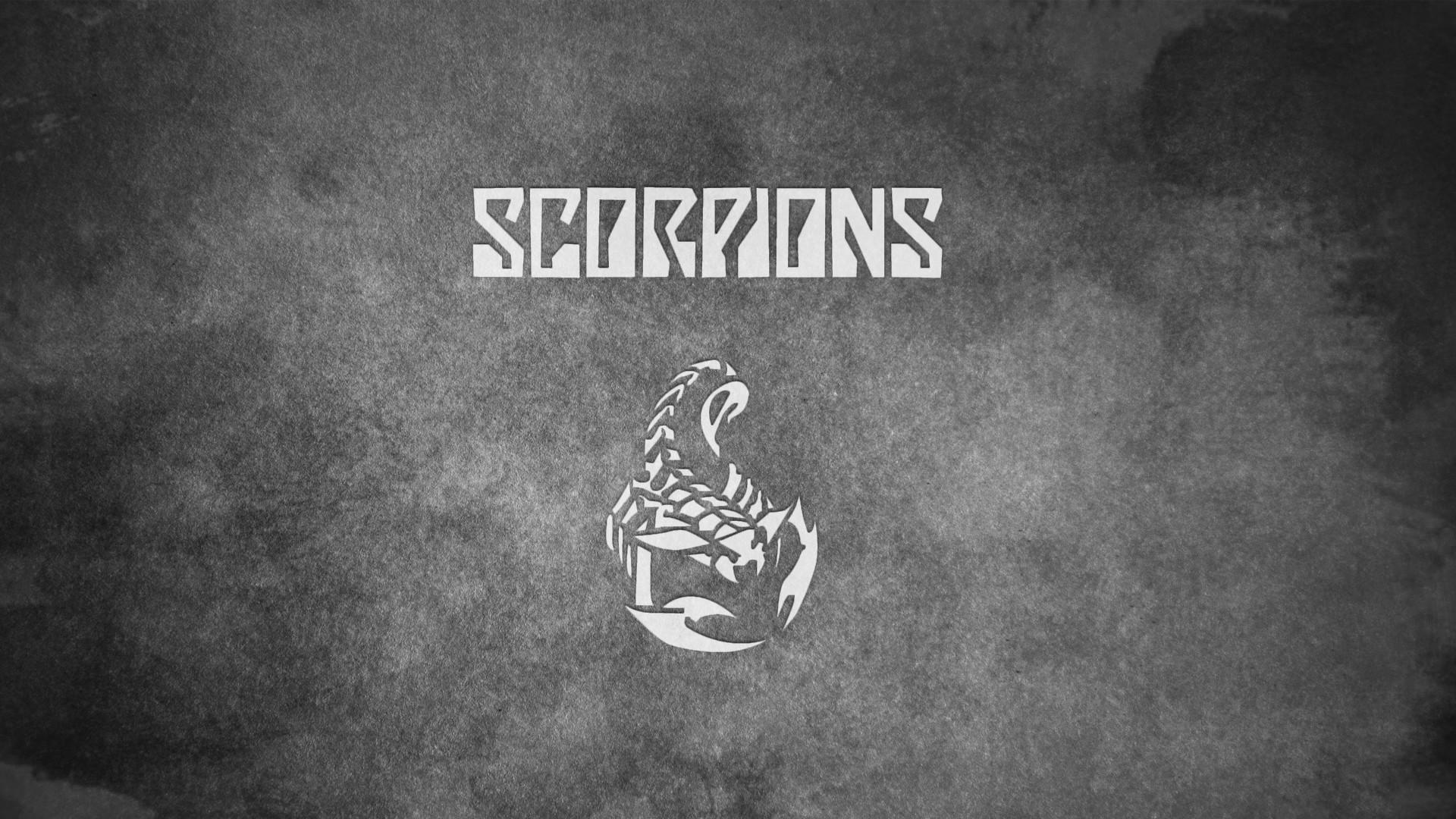 Scorpion Arachnids Wallpaper For Pc, Scorpion Arachnids, Animal