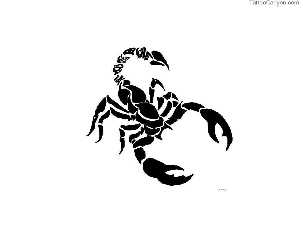 Scorpion Wallpaper Iphone, Scorpion, Animal