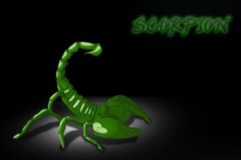 Scorpion Wallpapers For Free