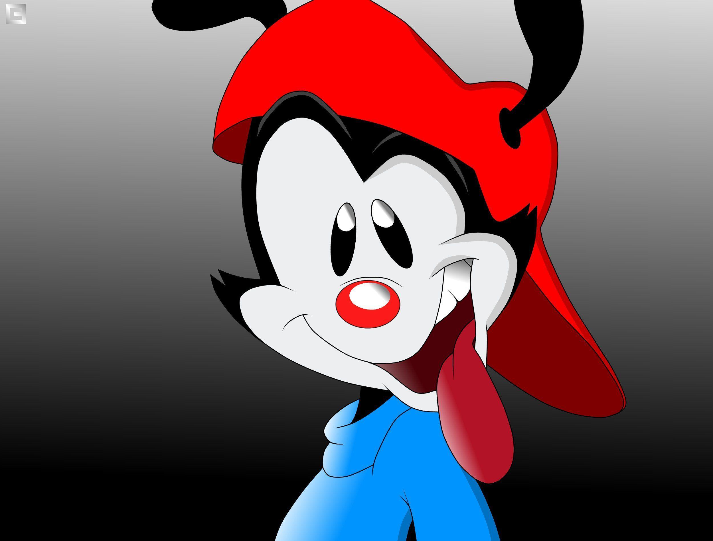 Animaniacs Hd Wallpapers For Pc