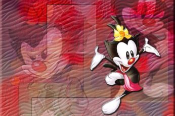 Animaniacs Hd Wallpapers Free Download