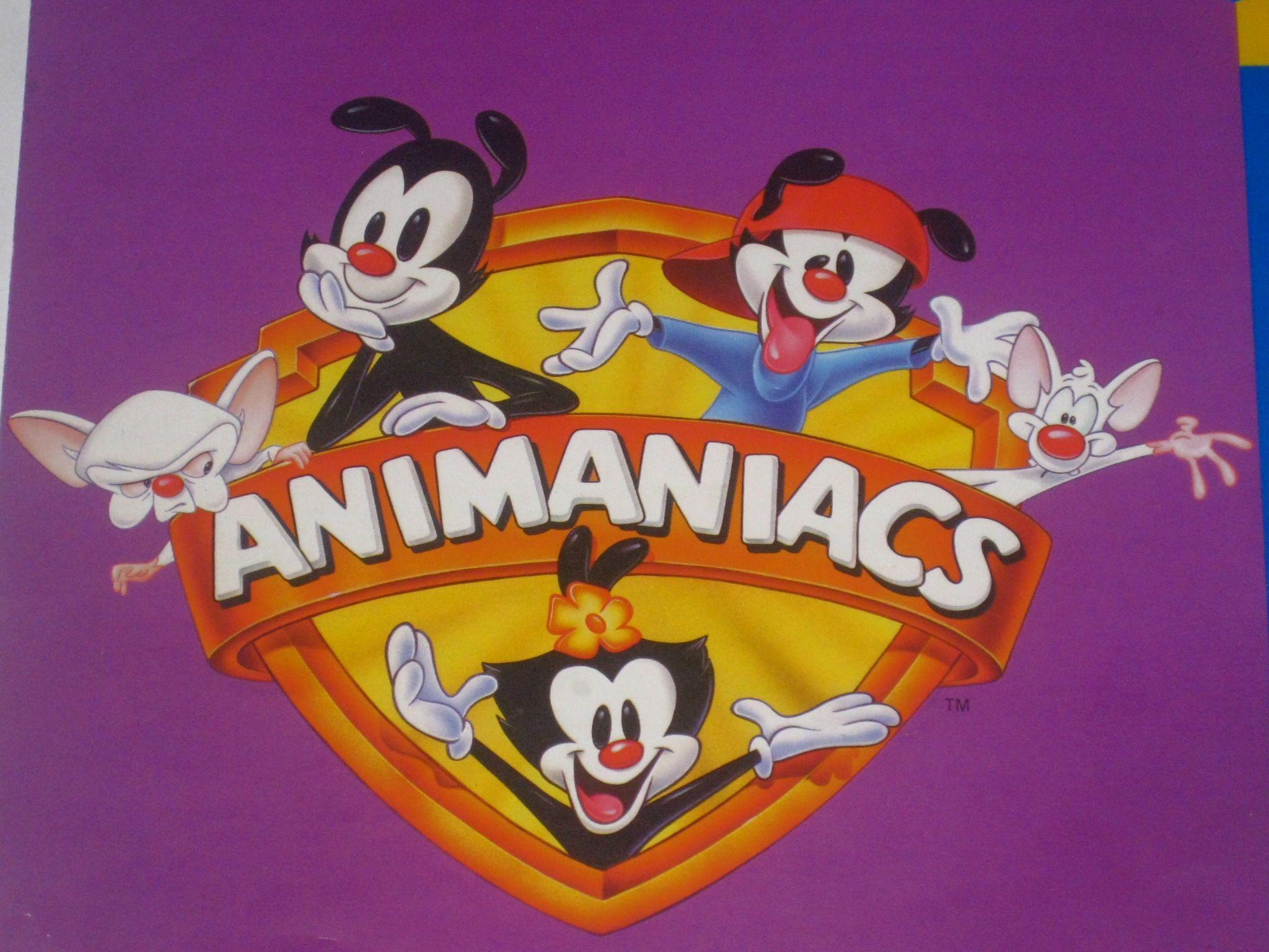 Animaniacs Wallpapers For Free, Animaniacs, Cartoons