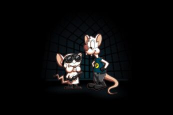Pinky And The Brain Best Wallpaper Hd