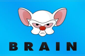 Pinky And The Brain Desktop Wallpapers