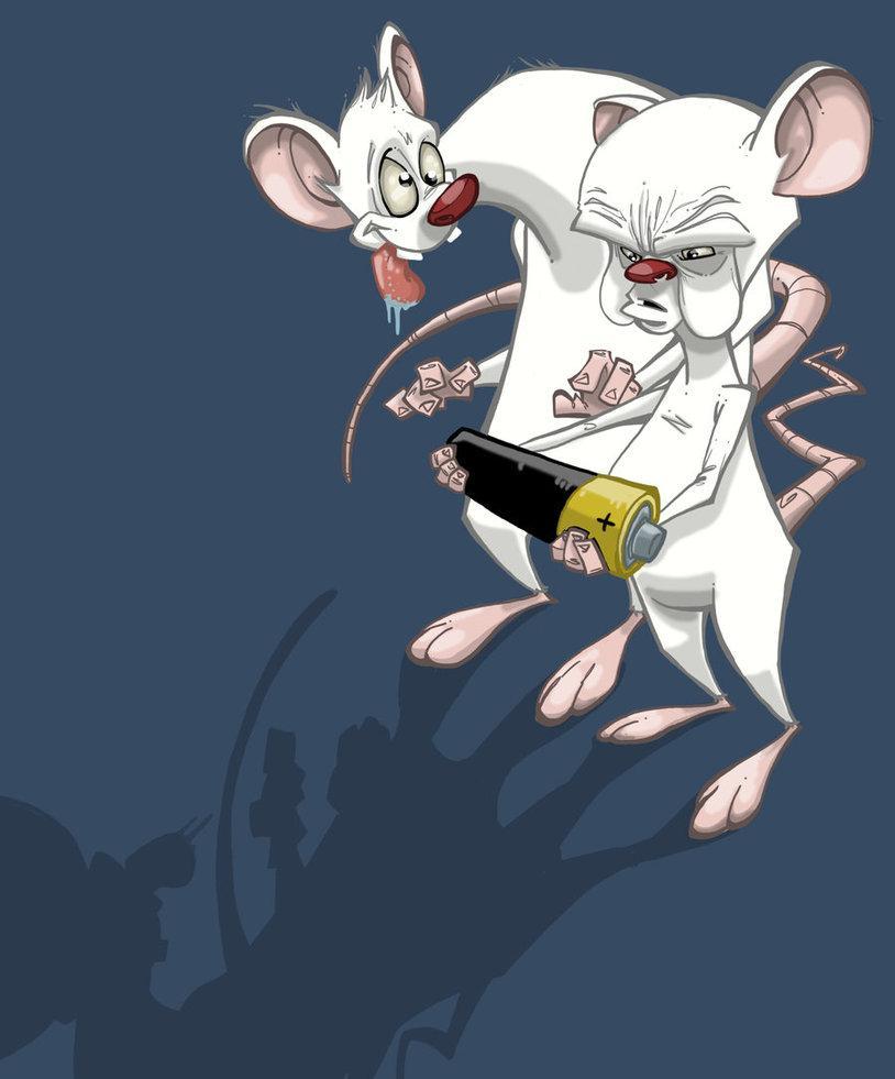 Pinky And The Brain Download Hd Wallpapers