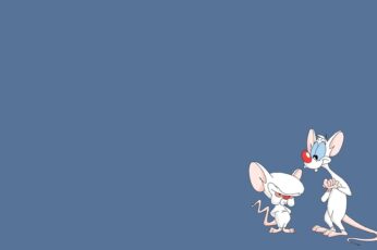 Pinky And The Brain Free 4K Wallpapers