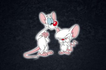Pinky And The Brain Hd Wallpapers For Pc