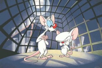 Pinky And The Brain Hd Wallpapers Free Download